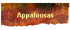 Appaloosas